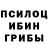 Галлюциногенные грибы Psilocybe Georg Anatoly