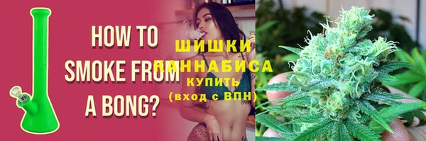 шишки Няндома