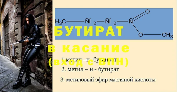 прущие грибы Михайловка