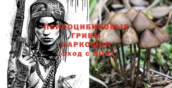 Альфа ПВП Новозыбков