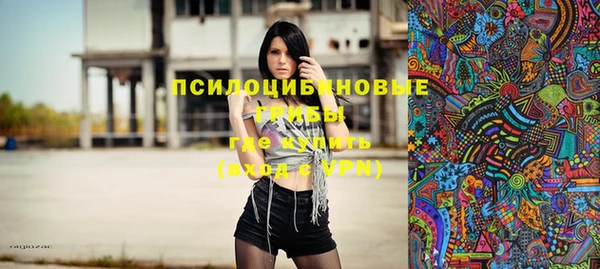 прущие грибы Михайловка