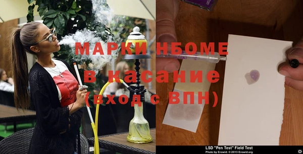 прущие грибы Михайловка