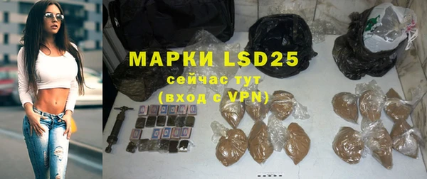 прущие грибы Михайловка