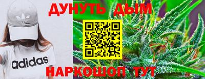 дживик Донской