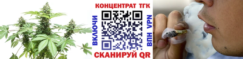 МЕГА ТОР  Новый Уренгой  ТГК концентрат 
