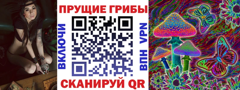 hydra сайт  Новый Уренгой  Галлюциногенные грибы Cubensis 